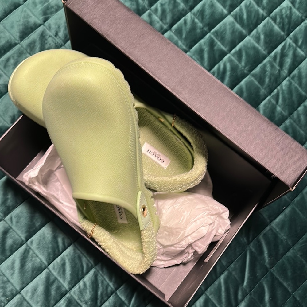 Coach Light Green Mules